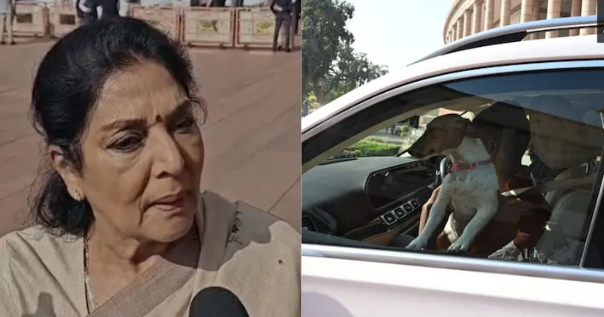 “ये काटता नहीं, काटने वाले संसद में...” संसद परिसर में कुत्ता लेकर पहुंची सांसद रेणुका चौधरी ने ये क्या कह दिया