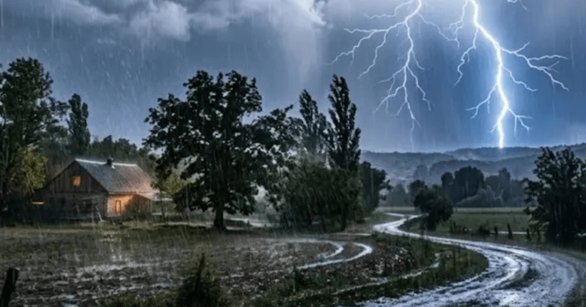 Jharkhand Weather: 3 जुलाई तक बारिश और वज्रपात का अलर्ट, रांची समेत कई जिलों में भारी बारिश के आसार